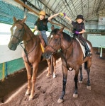 봄 맞이 “아라봄렌트카” 신차장기렌트카 자동차리스 특별이벤트 - 한국미디어뉴스통신 봄 맞이 “아라봄렌트카” 신차장기렌트카 자동차리스... 