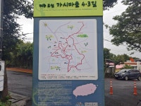 제주지역위원회 | 새소식 | 노무현재단