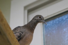 생생포토<생생갤러리<보전원소식<야생생물보전원< 국립공원공단