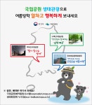 카드뉴스