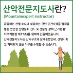 카드뉴스