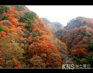 남원지리산둘레길,구룡계곡 오색단풍 향연 - KNS뉴스통신 남원지리산둘레길,구룡계곡 오색단풍 향연