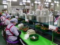 진주농산물 세계인의 입맛을 사로잡다 - KNS뉴스통신 진주농산물 세계인의 입맛을 사로잡다