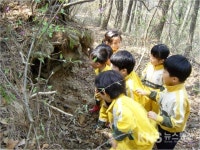 부산시, 숲유치원 활력 운영 - KNS뉴스통신 부산시, 숲유치원 활력 운영