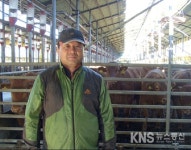 장흥 내동축산, 한우키워 연간 10억 매출 - KNS뉴스통신 장흥 내동축산, 한우키워 연간 10억 매출