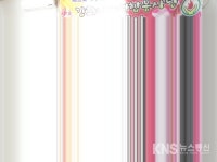 강화, 나눔연합봉사단 - KNS뉴스통신 강화, 나눔연합봉사단