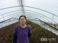 [포토] 강화군 양도면 강소농 유은주 氏 - KNS뉴스통신 [포토] 강화군 양도면 강소농 유은주 氏
