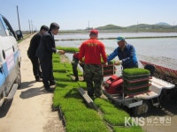 [포토] 강화, 교동면사무소 모내기 농가 격려 방문 - KNS뉴스통신 [포토] 강화, 교동면사무소 모내기 농가 격려 방문