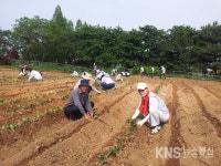 [포토] 하점면 부근2리 도농 교류 농촌체험 행사 가져 - KNS뉴스통신 [포토] 하점면 부근2리 도농 교류 농촌체험 행사 가져