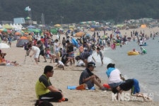 [포토] 때 이른 피서객몰려 인천 중구 을왕리·왕산 해수욕장에 피서객 2천여명 몰려 - KNS뉴스통신 [포토] 때 이른 피서객몰려 인천 중구 을왕리... 