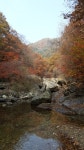 [포토] 가평 연인산도립공원의 단풍절정...수락폭포, 단풍길, 억새밭 - KNS뉴스통신 [포토] 가평 연인산도립공원의 단풍절정...수락폭포, 단풍길... 