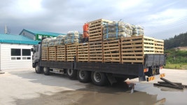 신안군 ‘단호박’ 일본 수출...웰빙식품으로 큰 인기 - KNS뉴스통신 신안군 ‘단호박’ 일본 수출...웰빙식품으로 큰 인기