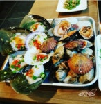 대천 맛집 조개톡톡 외식 명소로 찜했어 - KNS뉴스통신 대천 맛집 조개톡톡 외식 명소로 찜했어
