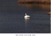 국립공원공단, 멸종위기 야생생물Ⅰ급 흰꼬리수리 발견…한려해상 인근에서 - KNS뉴스통신 국립공원공단, 멸종위기 야생생물Ⅰ급 흰꼬리수리... 