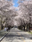 ‘춘천시 행복지수’ 개발 협약 - KNS뉴스통신 ‘춘천시 행복지수’ 개발 협약