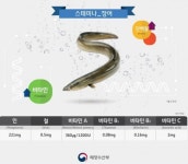 여름철 대표 보양식, 고창풍천장어 드시고 무더위 이겨내요 - KNS뉴스통신 여름철 대표 보양식, 고창풍천장어 드시고 무더위 이겨내요