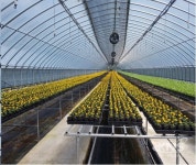 장수군, 아름다운 시가지 조성을 위한 꽃묘 본격 공급 - KNS뉴스통신 장수군, 아름다운 시가지 조성을 위한 꽃묘 본격 공급