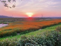 자유로 따라 황금노을에 물드는 파주 문산노을길 - KNS뉴스통신 자유로 따라 황금노을에 물드는 파주 문산노을길