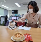 광주학생마음보듬센터 고양이 ‘보듬이’ 첫 생일 - KNS뉴스통신 광주학생마음보듬센터 고양이 ‘보듬이’ 첫 생일
