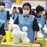원광대 반려동물산업학과 박서진 학생, KKF 전국 애견미용 콘테스트 입상 - KNS뉴스통신 원광대 반려동물산업학과 박서진 학생, KKF 전국... 