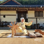 2023년 국가무형문화재‘안동포짜기’공개행사 개최 - KNS뉴스통신 2023년 국가무형문화재‘안동포짜기’공개행사 개최