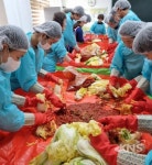 웅포중학교 ‘사랑의 김장나눔’ 행사 실시 - KNS뉴스통신 웅포중학교 ‘사랑의 김장나눔’ 행사 실시