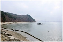 [포토] 대부도 해솔길과 겨울 바다 - KNS뉴스통신 [포토] 대부도 해솔길과 겨울 바다