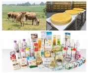 임실군, 전북자치도 농생명산업 선도지구 선정 - KNS뉴스통신 임실군, 전북자치도 농생명산업 선도지구 선정