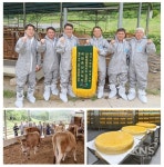 임실군, 임실N치즈 프리미엄화 발판 마련 - KNS뉴스통신 임실군, 임실N치즈 프리미엄화 발판 마련