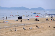 [포토] 머드 축제 한마당 대천해수욕장 - KNS뉴스통신 [포토] 머드 축제 한마당 대천해수욕장