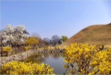 롯데자판기 경주여고점 | [포토] 봄날의 경주 수학여행-1, 대릉원 외 - KNS뉴스통신 [포토] 봄날의 경주 수학여행-1, 대릉원 외