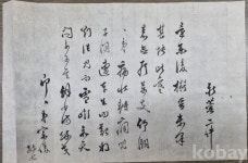 코베이옥션 (주)코베이옥션