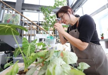 코리아넷뉴스 - [사진으로 보는 한국] 식집사들의 돌봄문화…’반려식물클리닉’ | 국제문화홍보정책실 [사진으로 보는 한국] 식집사들의... 