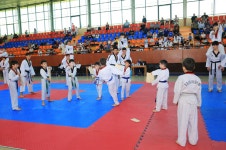 활동 - 아르메니아 한국문화제, 제1회 전아르메니아 태권도 대회 개최 | 국제문화홍보정책실 아르메니아 한국문화제, 제1회 전아르메니아 태권도... 
