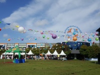 활동 - 글로벌 만디리 학교-문화원 공동협력 개최 코리안 페스티발 | 문화체육관광부 한국문화원 글로벌 만디리 학교-문화원 공동협력 개최... 