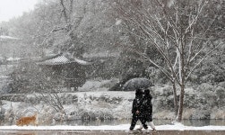 코리아넷뉴스 - [사진으로 보는 한국] 함박눈 맞으며 산책 | 국제문화홍보정책실 [사진으로 보는 한국] 함박눈 맞으며 산책