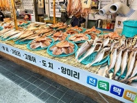 束草観光水産市場｜束草・雪岳山(江原道)のショッピング店｜韓国旅行「コネスト」 束草観光水産市場｜束草・雪岳山(江原道)のショッピング店