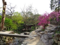 瀟灑園(ソセウォン)｜潭陽(全州・光州・全羅道)の観光スポット｜韓国旅行「コネスト」 瀟灑園(ソセウォン)｜潭陽(全州・光州・全羅道)... 