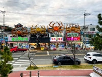 九龍浦港｜浦項(安東・大邱・慶尚道)の観光スポット｜韓国旅行「コネスト」 九龍浦港｜浦項(安東・大邱・慶尚道)の観光スポット