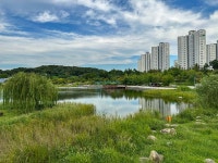 漢江新都市湖公園｜(京畿道)の観光スポット｜韓国旅行「コネスト」 漢江新都市湖公園｜(京畿道)の観光スポット