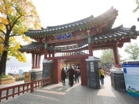 「南怡島」の写真｜韓国旅行「コネスト」 「南怡島」の写真