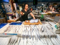 「仁川総合魚市場」の写真｜韓国旅行「コネスト」 「仁川総合魚市場」の写真