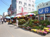 晋州中央市場｜晋州(安東・大邱・慶尚道)のショッピング店｜韓国旅行「コネスト」 晋州中央市場｜晋州(安東・大邱・慶尚道)のショッピング店