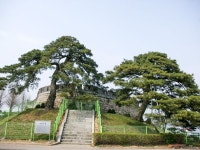 「江華歴史博物館」の写真｜韓国旅行「コネスト」 「江華歴史博物館」の写真