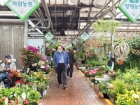 良才花市場(aT花卉共販場)｜江南駅・三成(COEX)(ソウル)のショッピング店｜韓国旅行「コネスト」 良才花市場(aT花卉共販場)｜江南駅... 