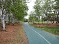 「一山湖公園」の写真｜韓国旅行「コネスト」 「一山湖公園」の写真