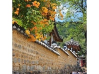 韓国観光スポット 新着順リスト｜大邱のスポット｜韓国旅行「コネスト」 韓国観光スポット 新着順リスト｜大邱のスポット