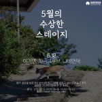 KOPIS 공연예술 통합전산망 수상한스테이지 (5월)