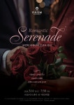 KOPIS 공연예술 통합전산망 로맨틱 세레나데 콘서트 파티