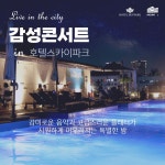 공연시설상세 > 공연시설 > DB 검색 호텔 스카이파크 센트럴 서울 판교